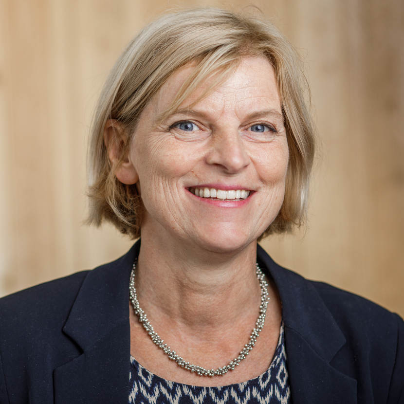 dr. ir. S. (Sjoukje) Heimovaara